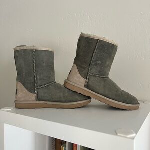 Classic short Uggs size 5